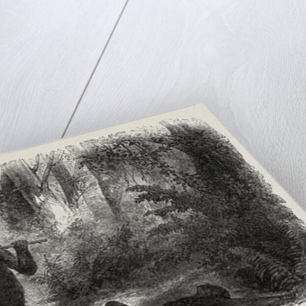 A Hunter Killed by a Gorilla by Anonymous