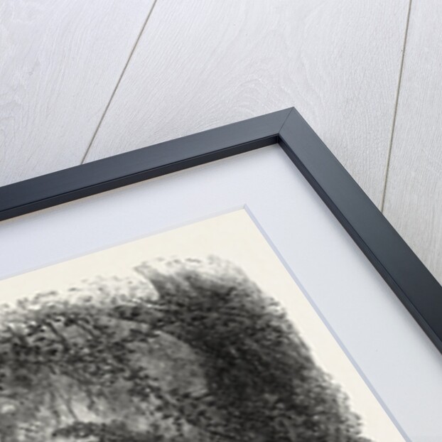 A Hunter Killed by a Gorilla by Anonymous