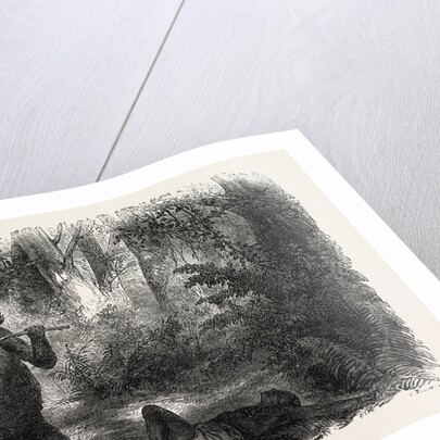 A Hunter Killed by a Gorilla by Anonymous