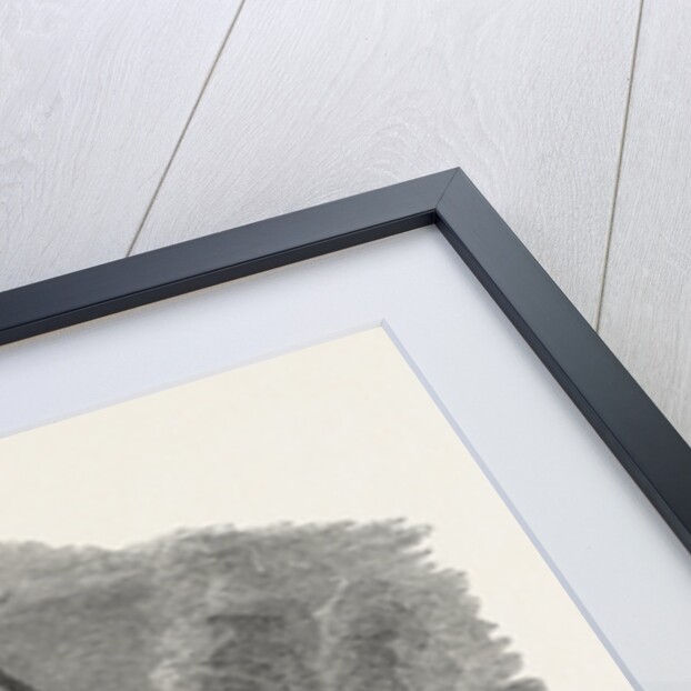 The Burning Well Near the Featherstone Station in the Vicinity of Pontefract by Anonymous