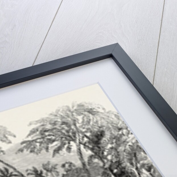 Opening of a New Bridge at Travancore. The Rajah's State Procession India 1854 by Anonymous