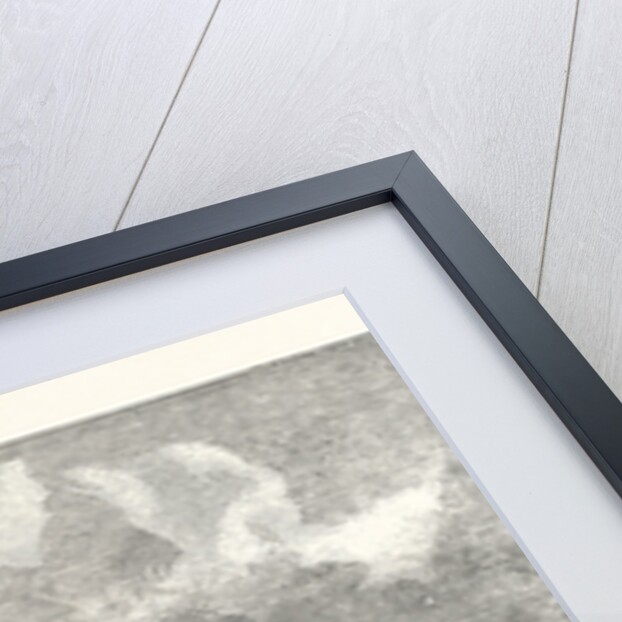 The Lizard Serpentine Signal-Staff Quarry Near Cadgwith Cornwall 1854 by Anonymous