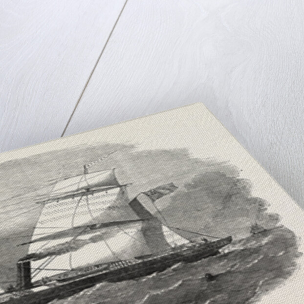 The New Screw Steamer Barwon 1854 by Anonymous