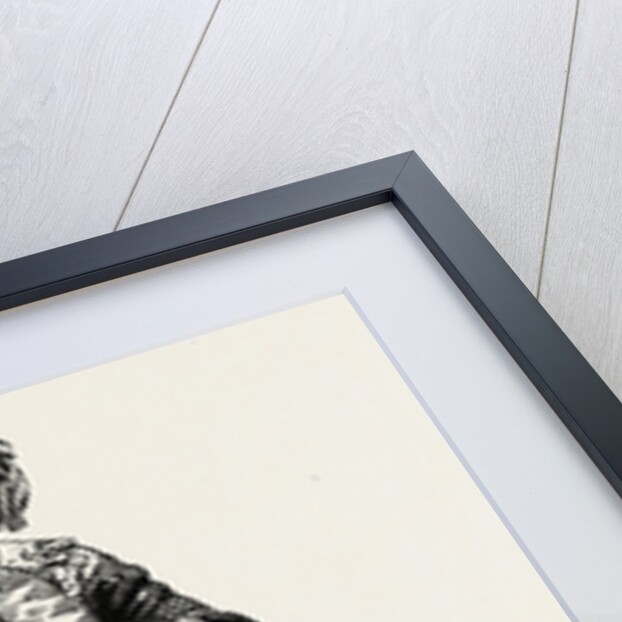 Paris Fashions for October 1854 by Anonymous