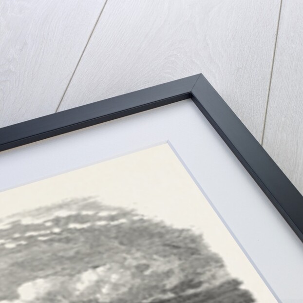 The Crimean War: Sebastopol Sketched from Fort Constantine 1854 by Anonymous