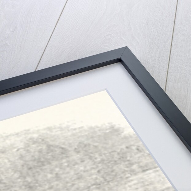 Nice from the West France 1854 by Anonymous