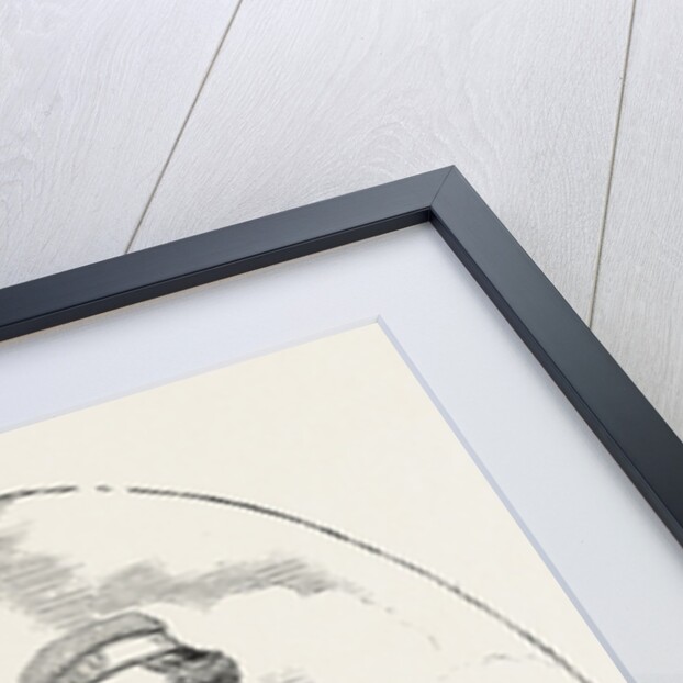 The Crimean War: The Late Captain Lewis Edward Nolan 15th Hussars 1854 by Anonymous