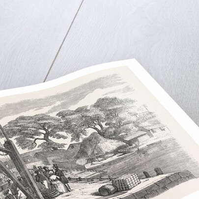 Matacong on the West Coast of Africa the Pier and Warehouses 1854 by Anonymous