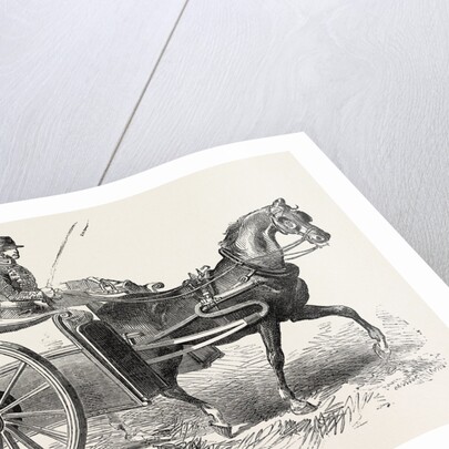 Patent Military Foraging-Cart 1854 by Anonymous