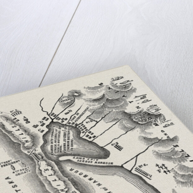 The Crimean War: Plan of Petropaulovski 1854 by Anonymous