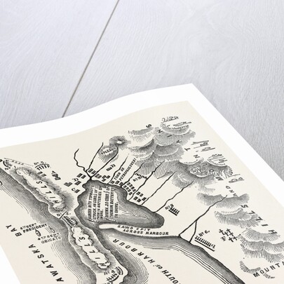 The Crimean War: Plan of Petropaulovski 1854 by Anonymous