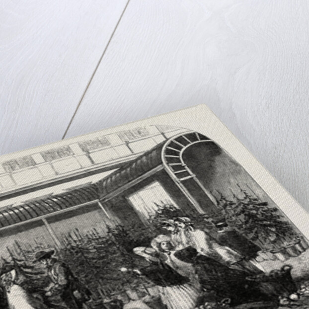 Christmas Trees in Covent Garden Market London UK 1854 by Anonymous