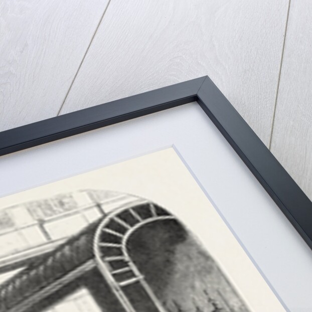 Christmas Trees in Covent Garden Market London UK 1854 by Anonymous