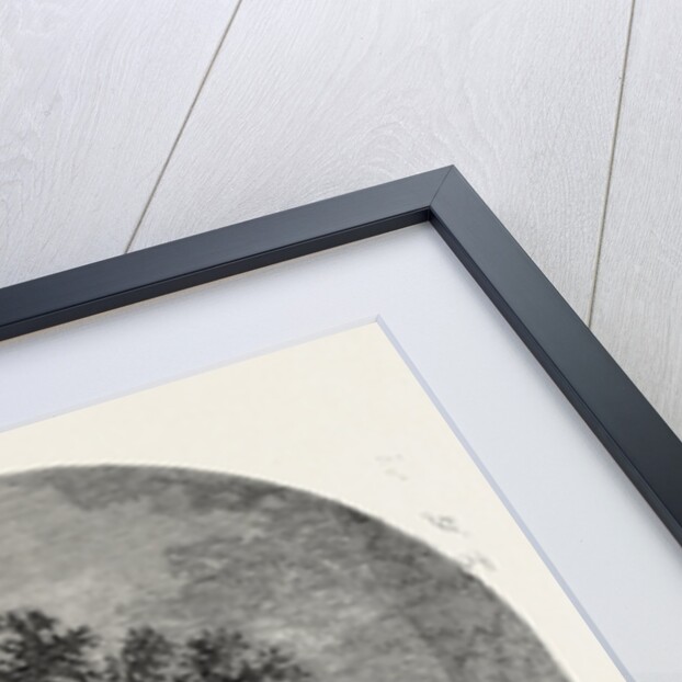 The Mistletoe Seller Christmas by Anonymous