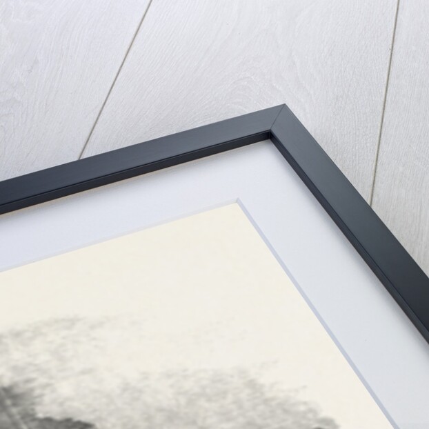 New Barge of the Oxford University Boat Club, 1855 by Anonymous