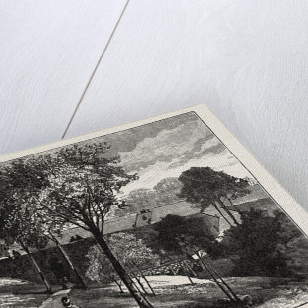 Terraces in Beaumont Park, Huddersfield, UK, 1883 by Anonymous