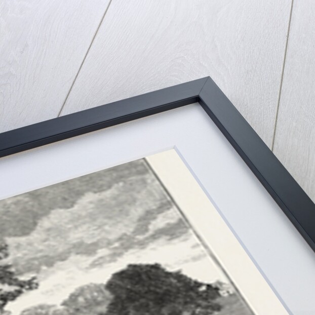 Terraces in Beaumont Park, Huddersfield, UK, 1883 by Anonymous