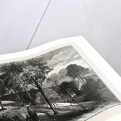 Terraces in Beaumont Park, Huddersfield, UK, 1883 by Anonymous