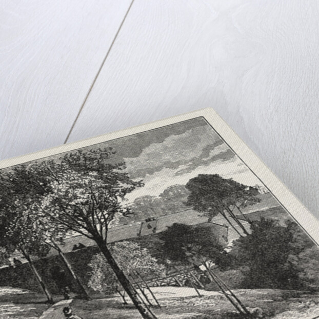 Terraces in Beaumont Park, Huddersfield, UK, 1883 by Anonymous