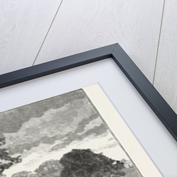 Terraces in Beaumont Park, Huddersfield, UK, 1883 by Anonymous