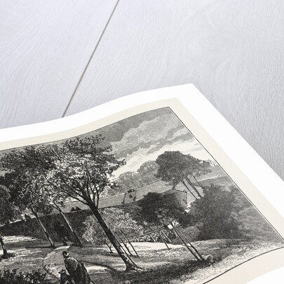 Terraces in Beaumont Park, Huddersfield, UK, 1883 by Anonymous