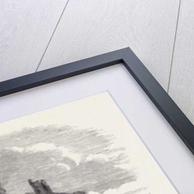 Remains of Mill after the Fire, at Halifax, UK, 1853 by Anonymous