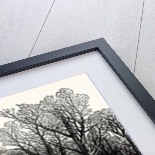 The Cambridge Chancellorship Election: St. John's College (Earl Powis's) from the Garden, UK, 1847 by Anonymous