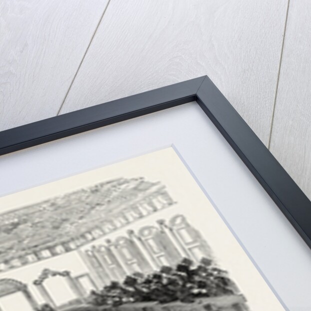 The Cambridge Chancellorship Election: Interior of the Senate House. The Election. UK, 1847 by Anonymous