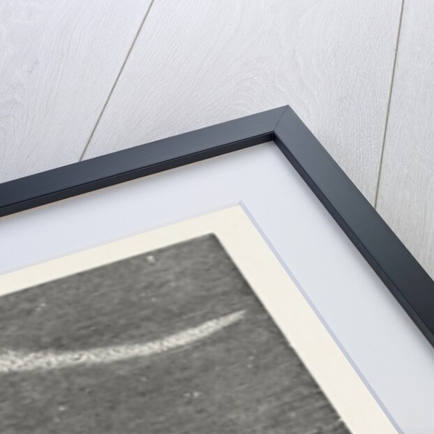 Extraordinary Meteor Seen Over Dublin, on the Night of September 2, 1853 by Anonymous