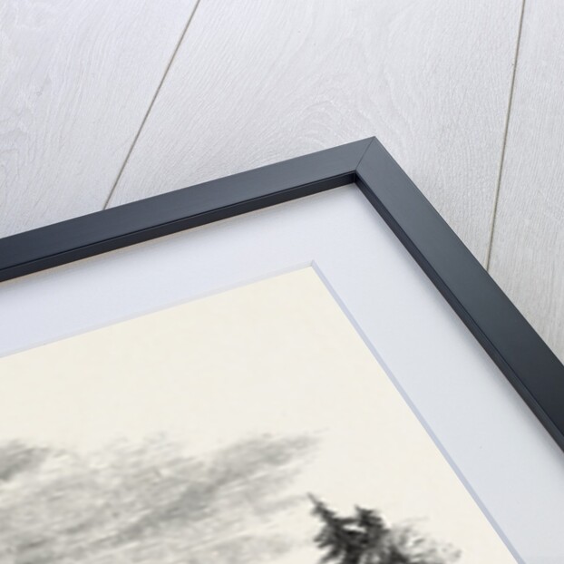 The Canadian Red River Exploring Expedition: Ford of the Rosseau River, and Indian Fish Weir, 1858 by Anonymous