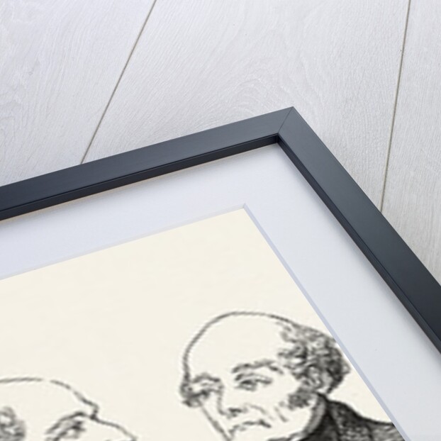 Meeting of the British Association at Southampton, Geological Section by Anonymous