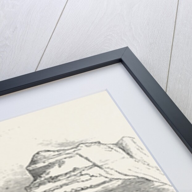 Meeting of the British Association at Southampton, Black Gang Chine, Dr. Fitton's Lecture on Its Geology, UK, 1846 by Anonymous