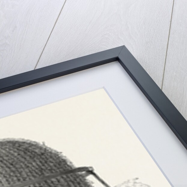 Monster Cactus, at the Royal Botanic Gardens, Kew, London, 1846 by Anonymous