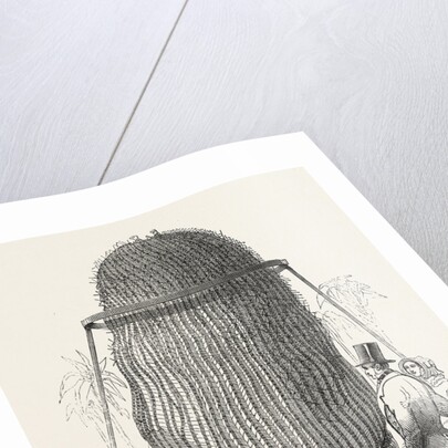 Monster Cactus, at the Royal Botanic Gardens, Kew, London, 1846 by Anonymous