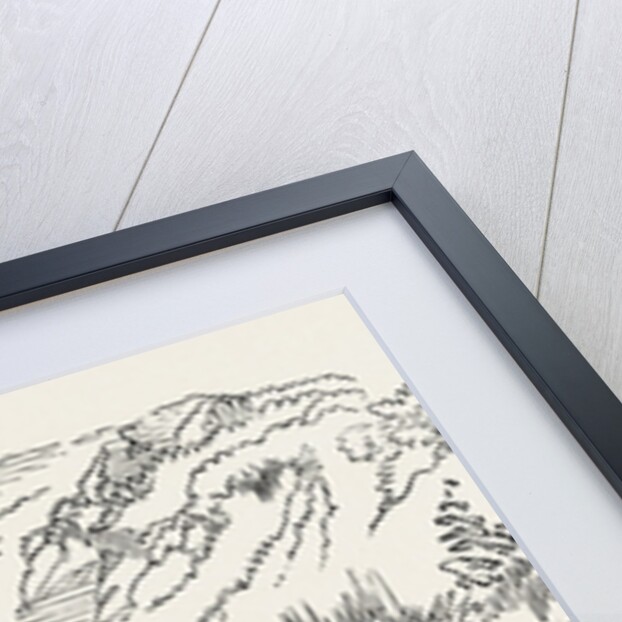 The Grayling by Anonymous