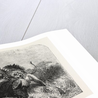 Dr Livingstone's Missionary Travels and Researchers in South Africa: Three Lions Attempting to Drag Down a Buffalo by Anonymous