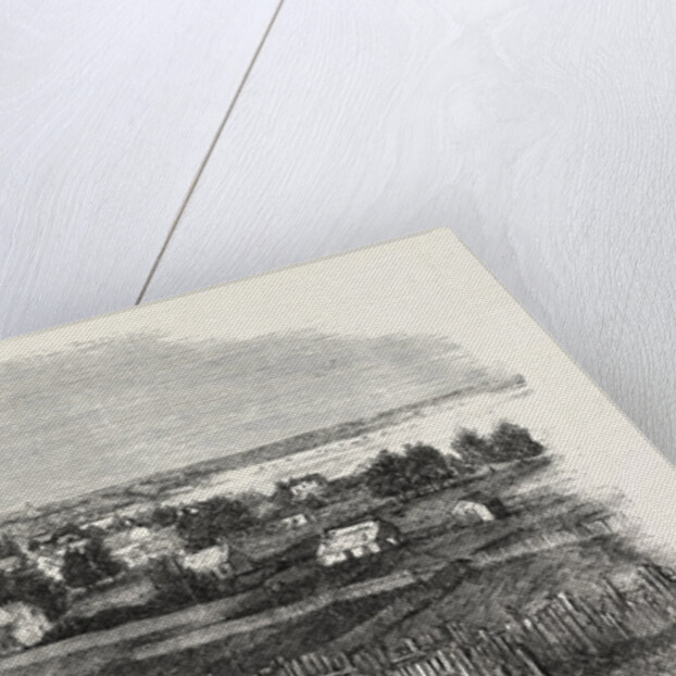 The Town of Bathurst, New Brunswick, 1860 by Anonymous