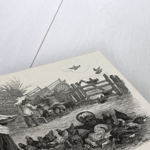 Agricultural Pictures the Poultry-Yard, 1847 by Anonymous