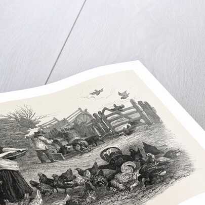 Agricultural Pictures the Poultry-Yard, 1847 by Anonymous