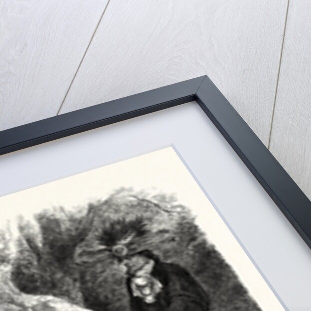 Embassy of Kickapoo Indians to the Emperor of Mexico, 1865 by Anonymous