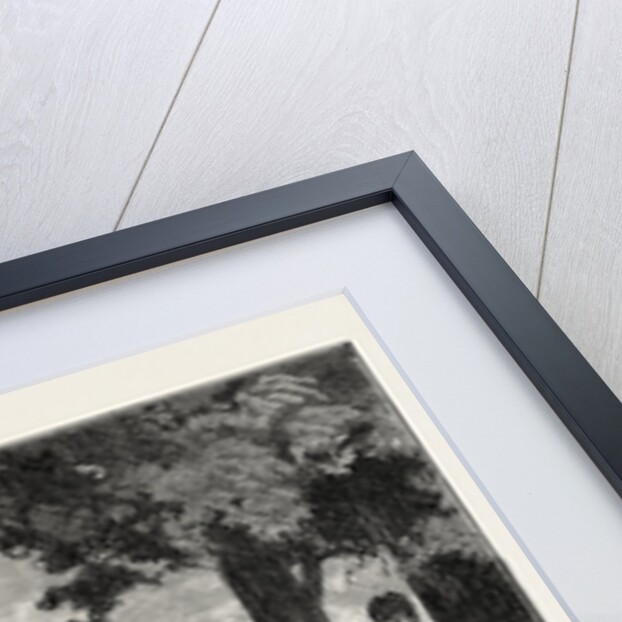 Adrian Vidal, Kiss Me, Adrian, She Whispered. Kiss Me Once! for the Sake of Old Days. by Anonymous