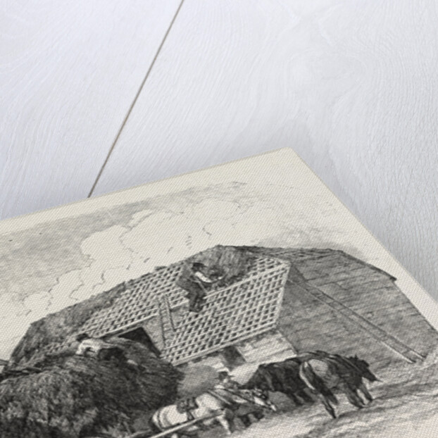 Agricultural Pictures: Thatching, 1846 by Anonymous