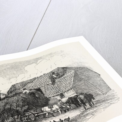 Agricultural Pictures: Thatching, 1846 by Anonymous