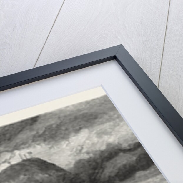 Hurricane at the Isle of Mauritius, 1874 by Anonymous