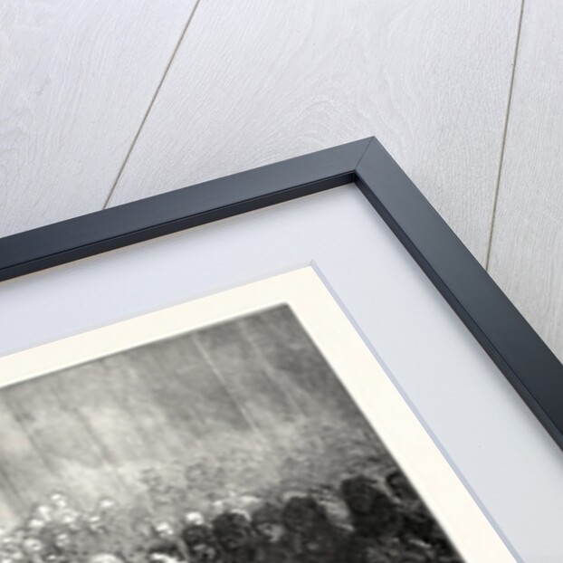 Funeral of Dr. Livingstone in Westminster Abbey, London, 1874 by Anonymous