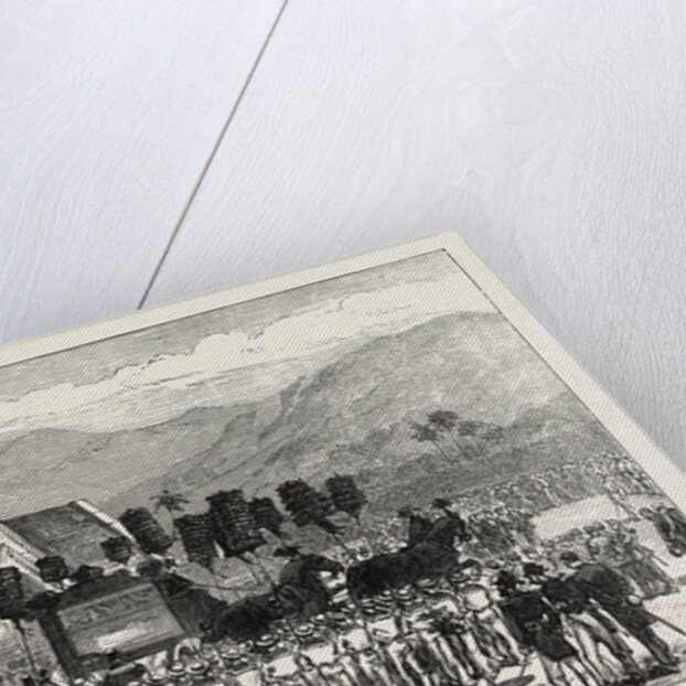 Funeral of the King of the Sandwich Islands, 1874 by Anonymous