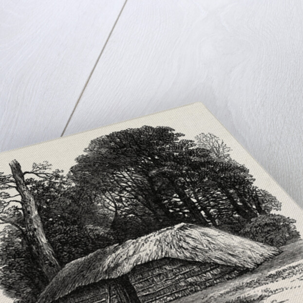 Facsimile of the Hut Built for Dr. Livingstone to Die in. 1874 by Anonymous