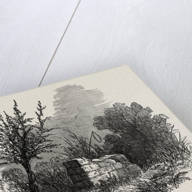 Tomb of Virginia, Mauritius, 1874 by Anonymous