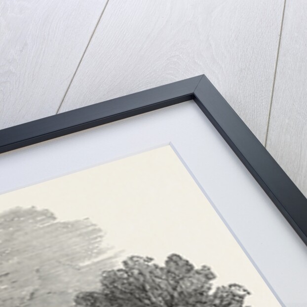 Tomb of Virginia, Mauritius, 1874 by Anonymous