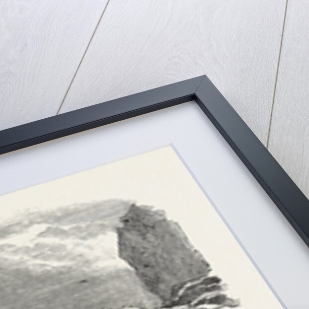 Wreck of the Brig Retriever, in the Boccases, Trinidad. 1850 by Anonymous